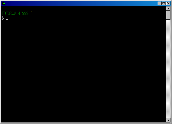 Cygwin の起動