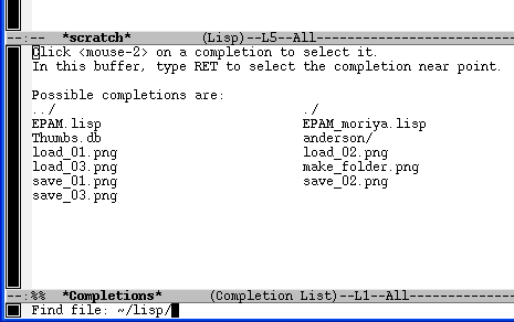 directories under the lisp directory